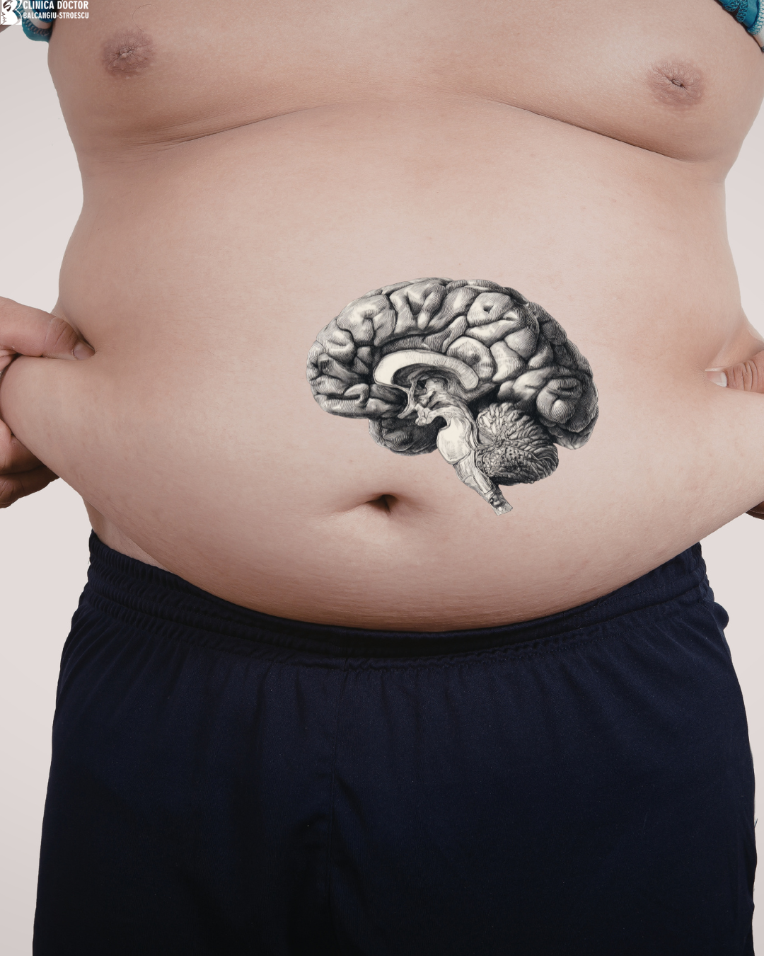 The Brain in the Gut
