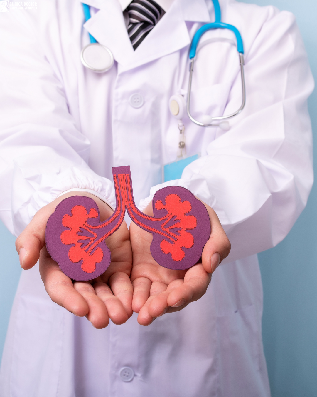 Urology consultation – specialist physician Urology consultation – specialist physician